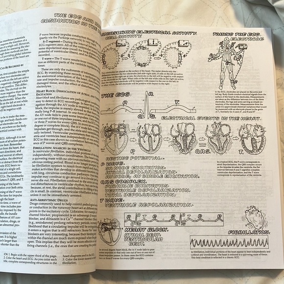Physiology Colouring Book - Picture 7 of 7